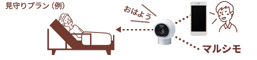 見守りプラン（例）