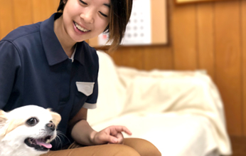 訪問介護（ホームヘルパー）