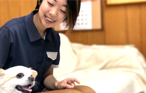 訪問介護